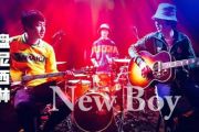 New Boy吉他谱_盘尼西林_D调弹唱谱_乐队的夏天