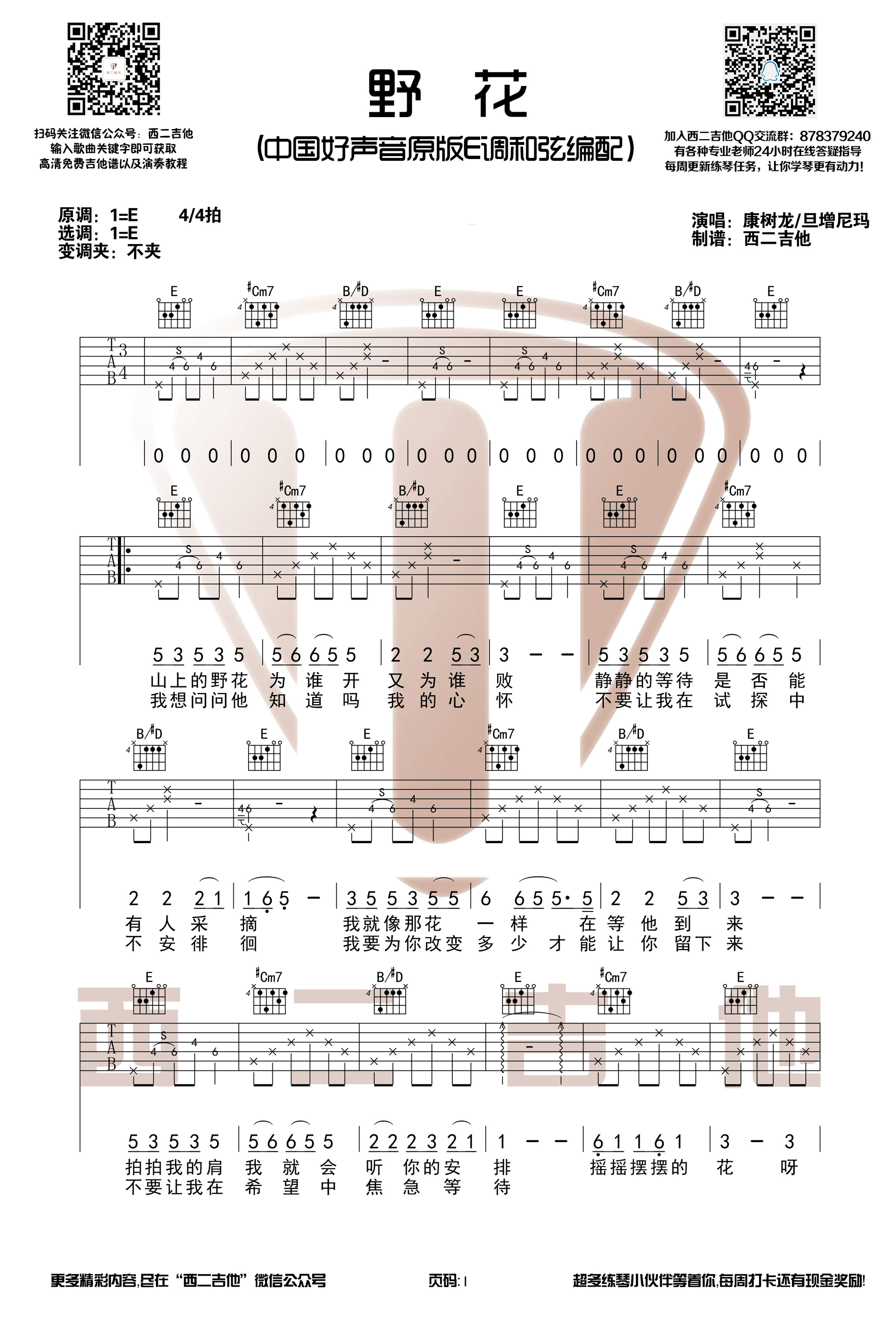 音康树龙/旦增尼玛“野花”吉他谱六线谱E调  中国好声音版