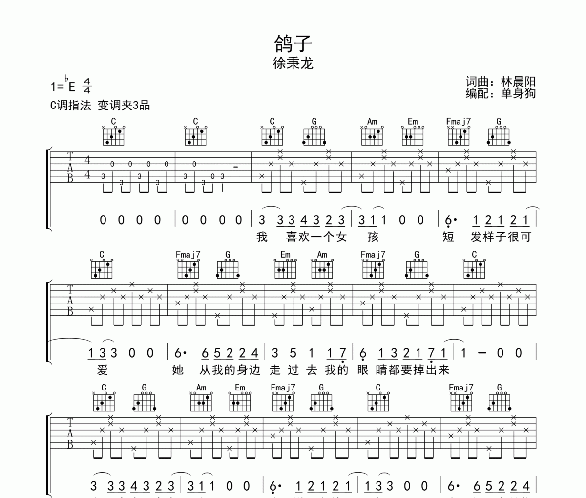 鸽子吉他谱 徐秉龙-鸽子六线谱C调指法