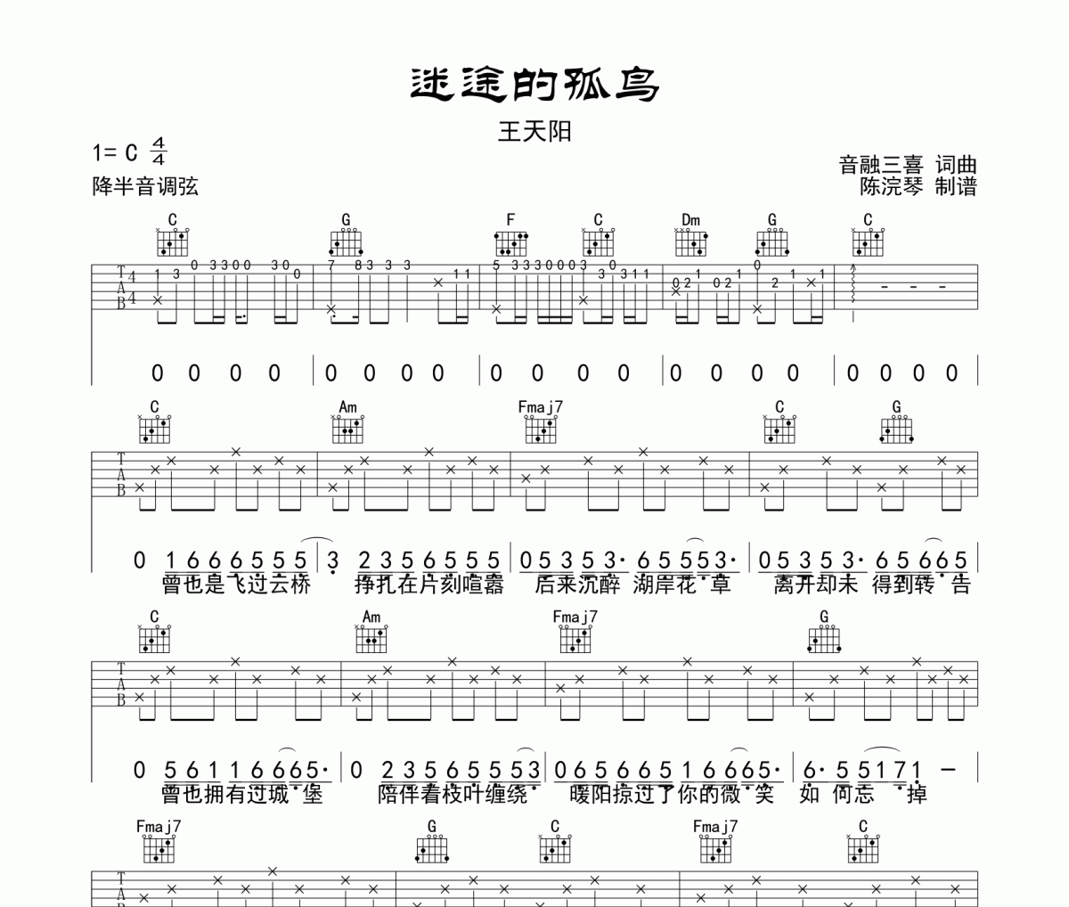 王天阳-迷途的孤鸟吉他谱六线谱C调