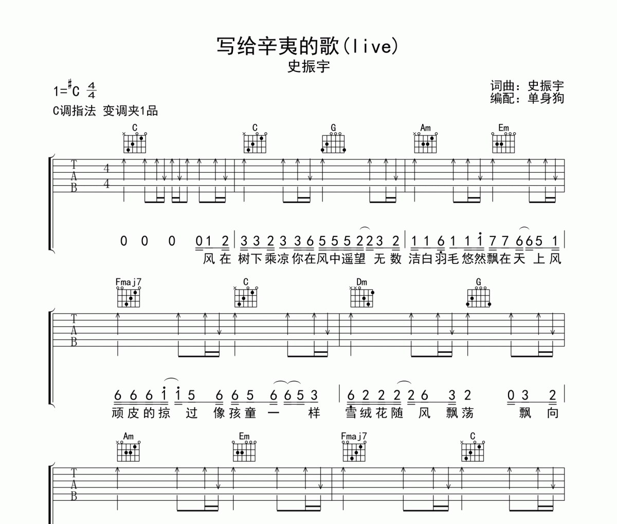 写给辛夷的歌吉他谱 史振宇-写给辛夷的歌(live)六线谱C调指法