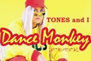 抖音热曲 tones and i-dance monkey鼓谱 附架子鼓(动态鼓谱)