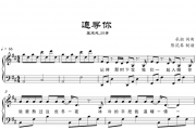 王天戈/川青-追寻你钢琴谱五线谱