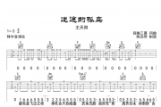 王天阳-迷途的孤鸟吉他谱六线谱C调