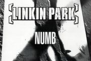 LINKIN PARK-Numb爵士鼓鼓谱 老虎不说谎制谱