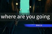 Where Are You Going 贝斯谱 海龟先生-Where Are You Going(Live)贝司BASS