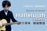 Hallelujah吉他谱 Boyce Avenue-Hallelujah(哈利路亚)六线谱选调G吉他谱